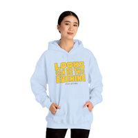 Looks Can Be This Evening Hoodie
